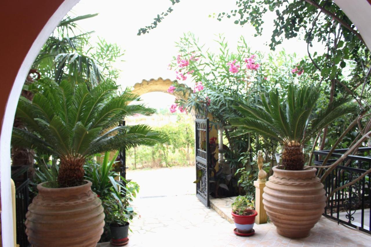Villa Nefeli Agios Georgios  Esterno foto