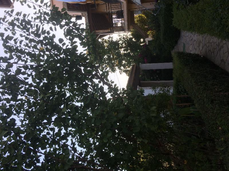 Villa Nefeli Agios Georgios  Esterno foto